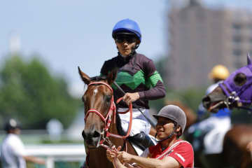 【新馬/札幌5R】ビッグアーサー産駒 ナオミライトニングが抜け出す