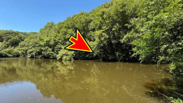 【真夏のため池攻略】キーになるのはシェード。もっとも手堅く魚が触れるルアー！ スキッピングで滑り込ませて、フォールで食わせる！