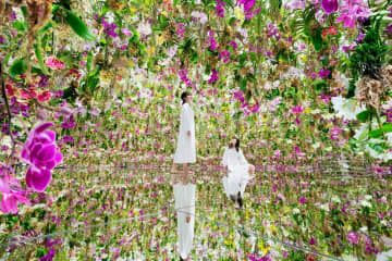 【teamLab Planets TOKYO】「お金をドブに捨てた」と酷評も？外国人が殺到する『水に入る美術館』の口コミ調査で判明した「天国と地獄」
