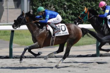 【札幌6R】ミスティマウンテンが抜け出す…武豊メイショウゲキハは2着