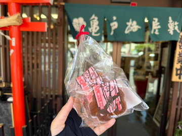 【亀戸】江戸の風情と下町の魅力を味わう！亀戸梅屋敷