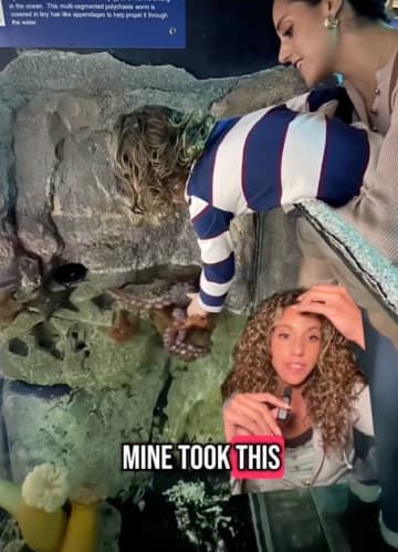 水族館で6歳男児の腕に巻きついたのは…“巨大ダコ”。母親がアザの写真を公開