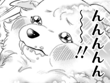 「んんんんーー（最高）！！」聖獣さまは、じっとなんてしてられない【ポンコツ令嬢に転生したら、もふもふから王子のメシウマ嫁に任命されました#19】