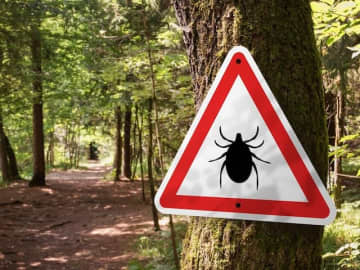 Q. 「ダニに刺されただけで死ぬことがある」って本当ですか？