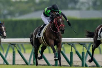 【新馬/中京3R】矢作厩舎のコントレイル産駒が新馬V…スウィッチインラヴが人気に応える