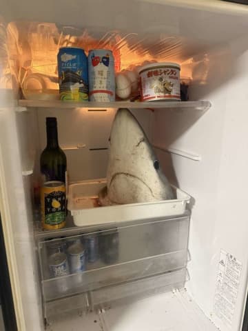 冷蔵庫を開けると〝生首〟がコンニチハ　恐怖の光景に4.7万人戦慄「こわい！こわい！」「叫びそう」