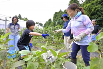 《連載:鉄路とまち　TX20年》(2)　若年層移住で人口増　コミュニティー形成鍵