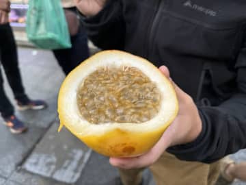 【ブラジル「サンパウロ市営市場」は無料でフルーツ食べ放題！？】市民の台所の試食天国楽しみ方完全ガイド