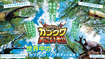 ヘラクレスオオカブトやニジイロクワガタ…人気の昆虫と触れ合うイベント　埼玉・深谷のふかや花園プレミアム・アウトレットで24日まで　最終日はカブトムシとクワガタの販売会も