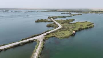 砂漠の周縁部に生まれた湿地公園　中国新疆ウイグル自治区