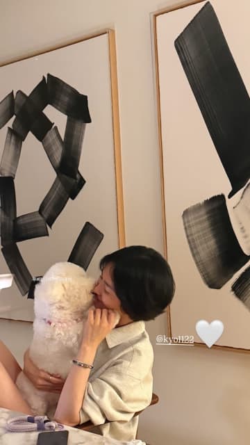 「待ってました！」“13歳差” ペ・スジ、ソン・ヘギョが愛犬を抱っこして至福のひととき【PHOTO】