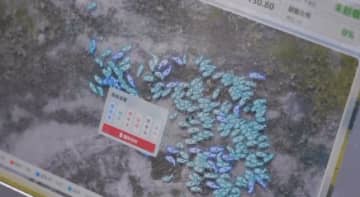 過放牧の難題を解決、牧畜バランスインテリジェント監視端末が精度96％―中国