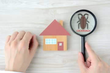 『部屋にゴキブリがいるかどうか』は確認できる？撃退する方法も