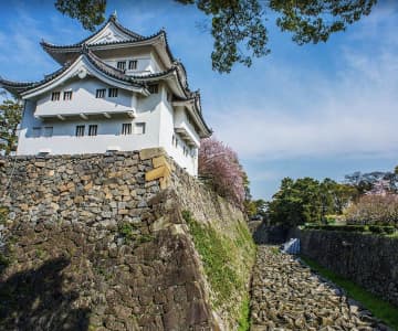 なぜ今、名古屋城が旅行者を惹きつけるのか？口コミで紐解く「金のシャチホコ」だけじゃない魅力とは