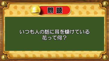 【おめざめ脳トレ】なぞなぞ！いつも人の話に耳を傾けている花は何でしょうか？【『クイズ！脳ベルSHOW』より】