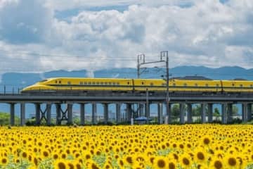 「そこの人邪魔！」ドクターイエロー撮影で怒号、撮り鉄か？ 岐阜のひまわり畑が「三脚禁止」検討