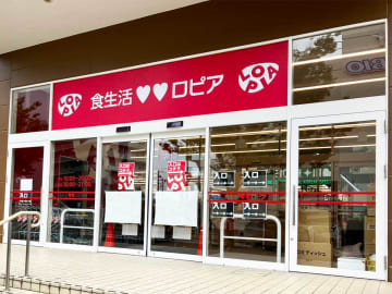 【ロピア】超特大ヒット！539円「トリュフ薫るバターロール」おいしすぎて震える！