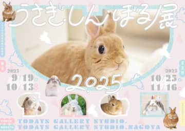 癒される！東京・浅草橋で「うさぎしんぼる展 2025」を開催