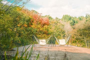 神戸・ROKKO森の音ミュージアム、紅葉と秋の花々をひと足早く楽しむ秋イベント