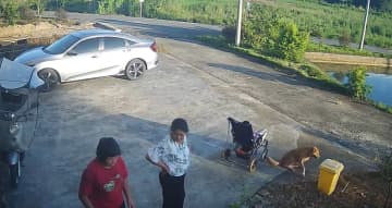 おしゃべりに夢中の女性、ベビーカーが坂を下り池に落ちる―中国