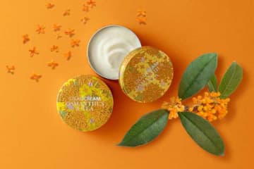 STEAMCREAMから秋限定「キンモクセイ＆茶」誕生♡香るスキンケアで心も肌も潤う
