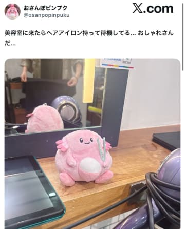 美容室にいた意外なおしゃれさん、まさかの正体が可愛すぎた！ヘアアイロンを握る姿に「見習いたくなるね」の声