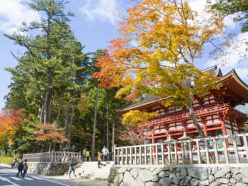 大河「真田丸」の舞台巡礼　九度山で歴史ロマンと案内犬に出会う
