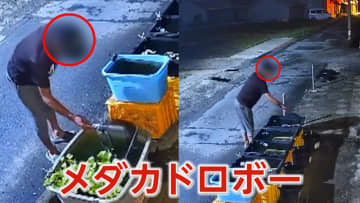 「タモ網」持参のメダカドロボー“慣れた手つき”で生まれたばかりのメダカ400匹盗む　長崎・南島原市