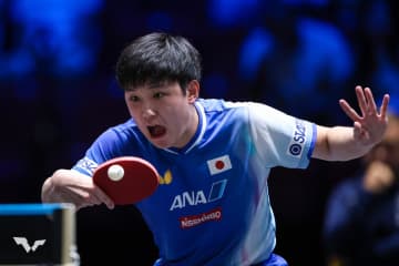 張本智和 パリ五輪代表の18歳ポーランド選手を完封！16強入り【卓球 ヨーロッパスマッシュ】
