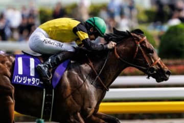 【キーンランドC登録馬】パンジャタワーなど22頭