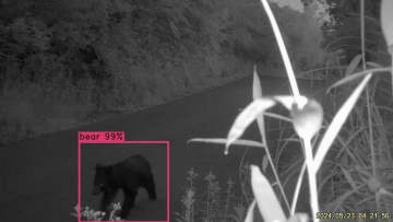 水道管の漏水調査、クマの出没監視…現場を紹介　ＡＩ活用最前線【インフラ・防災・落とし物編】