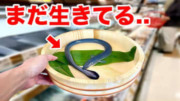 生き物系YouTuber、スーパーで売っていたウナギをペットに？　意外な表情に反響「かわいい」
