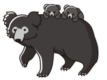 名前に反して超働き者！ナマケグマの意外すぎる生態【眠れなくなるほど面白い 図解 クマの話】