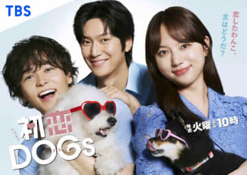 火曜ドラマ『初恋DOGs』CJ ENMが運営する韓国ケーブルテレビ「tvN」で放送決定！