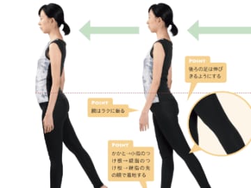「骨盤がゆがみにくくなる歩き方」７つのポイントとは！？【ゆがんだ背骨の整え方】