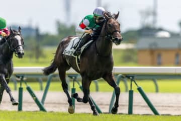 【中京1R】単勝1.1倍ローベルクランツが完勝
