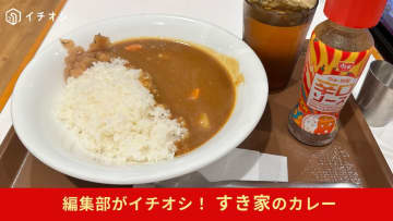 【すき家】の「カレー」は専用ソースで甘口～激辛までカスタム可能！並盛490円で自分好みの味付けで楽しめる