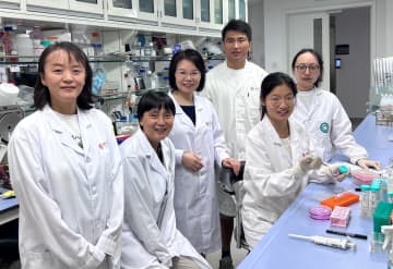 中国の科学者、子宮腺筋症の治療に新たな道筋示す