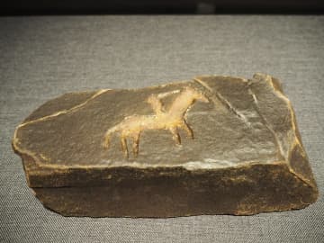 海西州民族博物館、古代の岩絵を展示　中国青海省