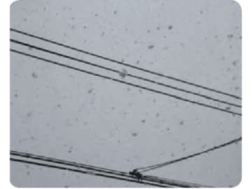 なぜ関東は雪予報が外れる？ 予報士泣かせの天気と乱層雲【最新の国際基準で見わける 雲の図鑑】