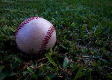 台湾プロ野球観戦の日本人の投稿で警察出動―台湾メディア