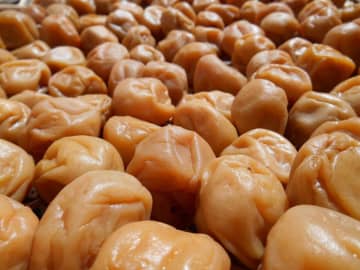 日本の「ご飯が進む」おかず8選＝中国ネット「これが先進国の食べ物？」