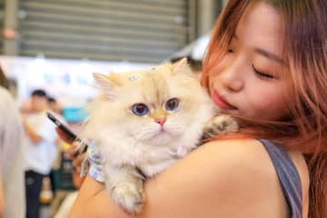 ペット経済が活況、若年層の消費者がけん引する新しい消費トレンド―中国