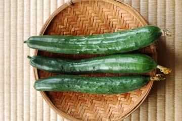【きゅうりが止まらなくなる】切って和えるだけなのに最高に美味しい、毎日食べたいマヨサラダレシピ6選