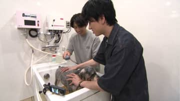 横山裕が相葉雅紀の保護犬トリミングをサポート　有村架純は青木マッチョ宅で保護猫ムサシと触れ合う『嗚呼!!みんなの動物園SP』