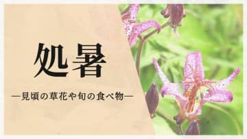 今日は二十四節気の「処暑」　この時期が見頃の草花や旬の食べ物は？