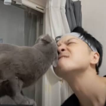 パパと猫の『頭突き対決』が始まったかと思ったら…思わずニヤける『まさかの光景』に「ほんと仲いいなｗｗ」「楽しそうで何よりｗ」の声