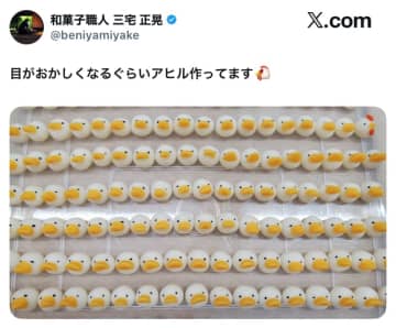 和菓子職人「目がおかしくなるぐらいアヒル作ってます」和菓子のアヒル軍団に癒される人続出「よく見たら違う子がいる」と話題