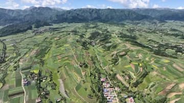 中薬材栽培産業が地域の経済振興を後押し　中国甘粛省渭源県