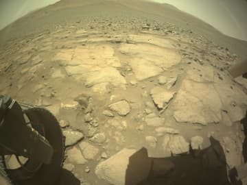 2025年8月17日の火星の風景：かつての「湖の底」？ 石畳状の平らな岩盤